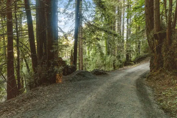 0 Pringle Lane, Soquel, CA 95073