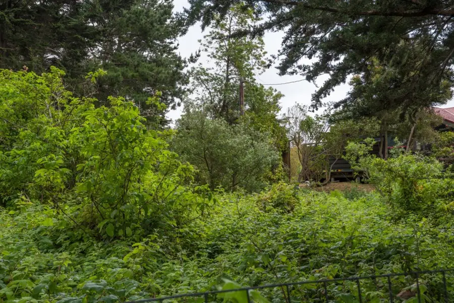 0000 Oak Avenue, Moss Beach, CA 94038 - #3