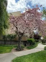 4415 Norwalk Drive #3, San Jose, CA 95129 - #1