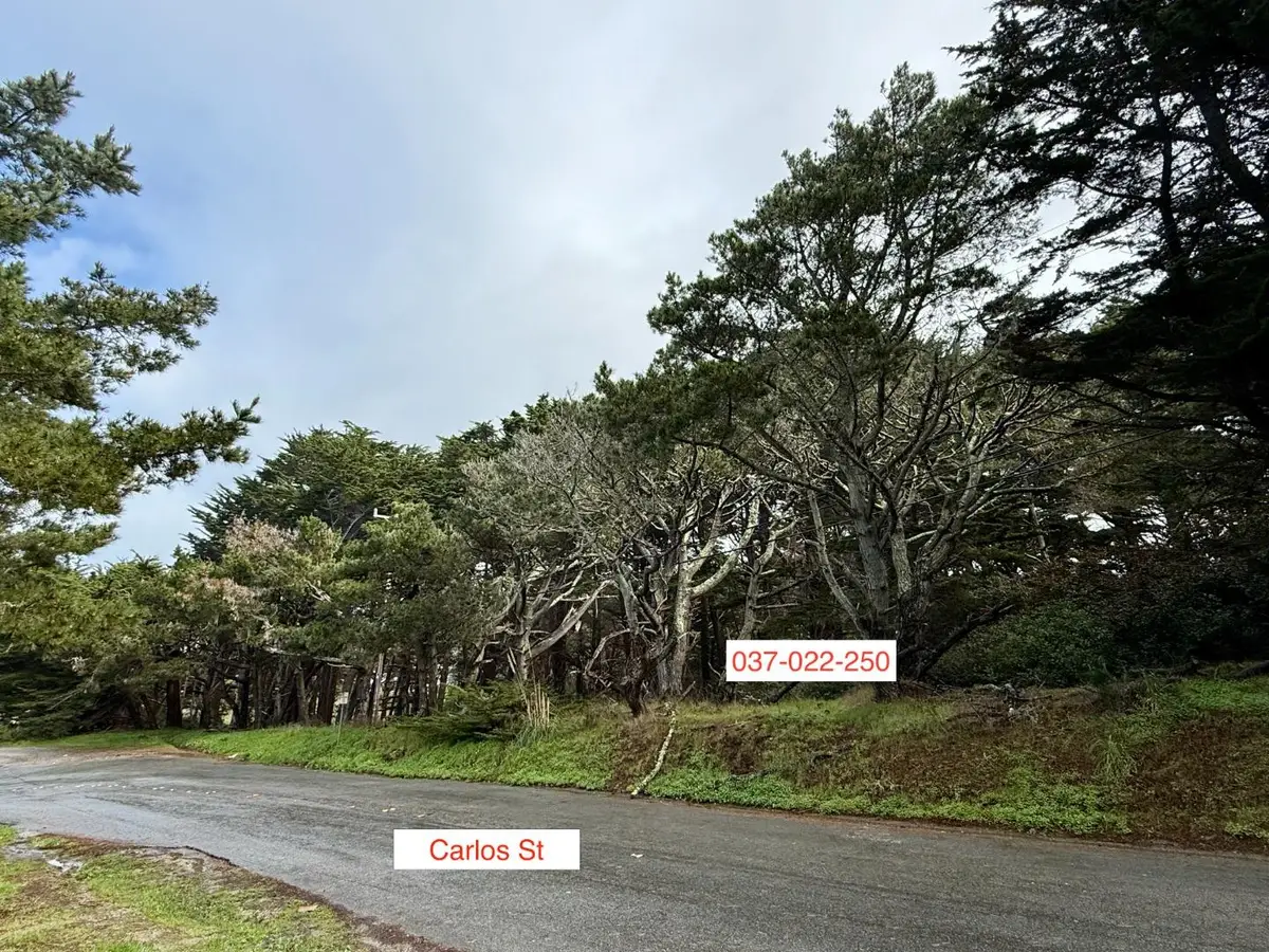 037022250 Carlos, Moss Beach, CA 94038 - #1