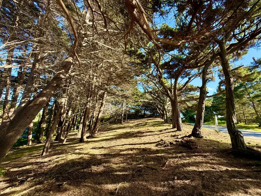 037022250 Carlos, Moss Beach, CA 94038 - #2