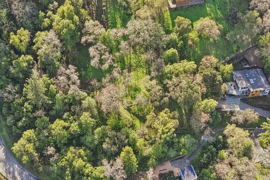 145 Foxwood Road Road, Portola Valley, CA 94028 - #2