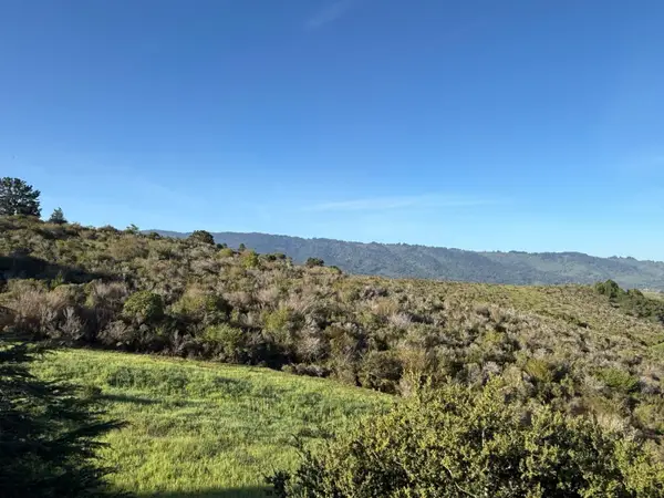 228 Crestview Drive, San Carlos, CA 94070