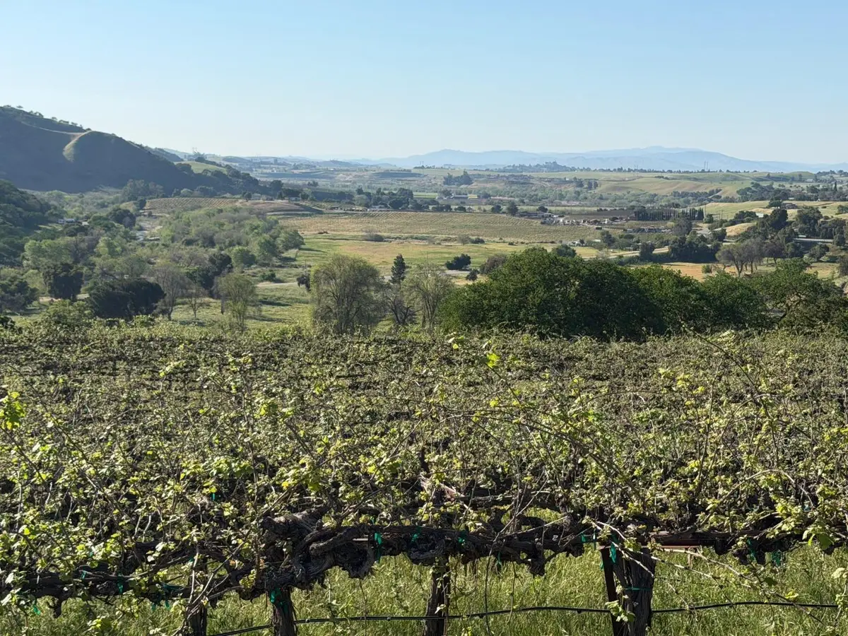 120 Acres Airline Highway, Tres Pinos, CA 95075 - #1