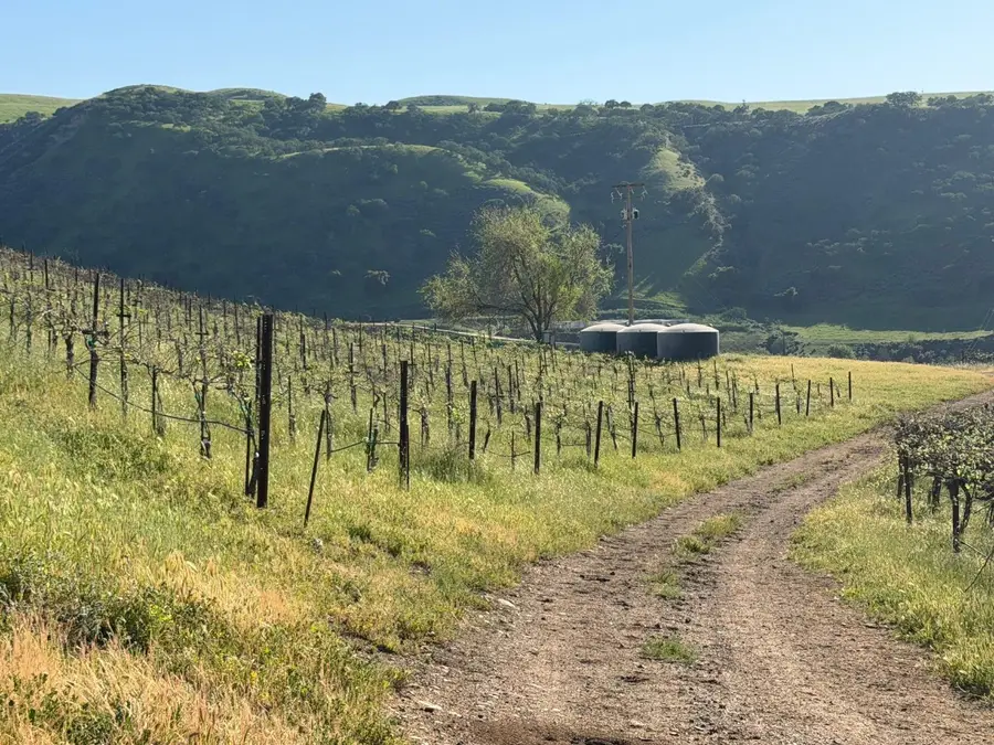 120 Acres Airline Highway, Tres Pinos, CA 95075 - #2