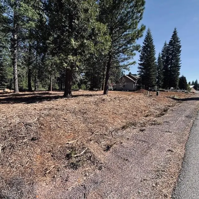742 Red River Drive, Lake Almanor, CA 96137 - #1