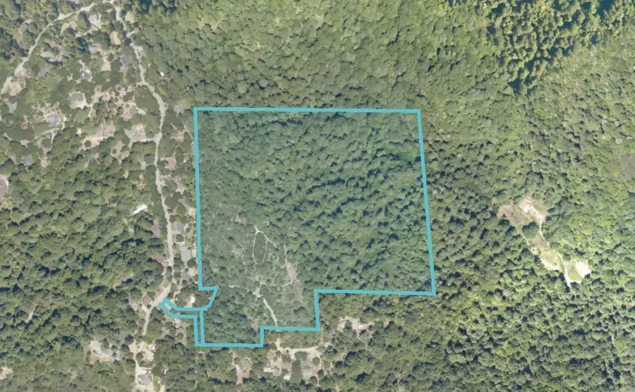 225 Santa Cruz Street, Boulder Creek, CA 95006 - #3