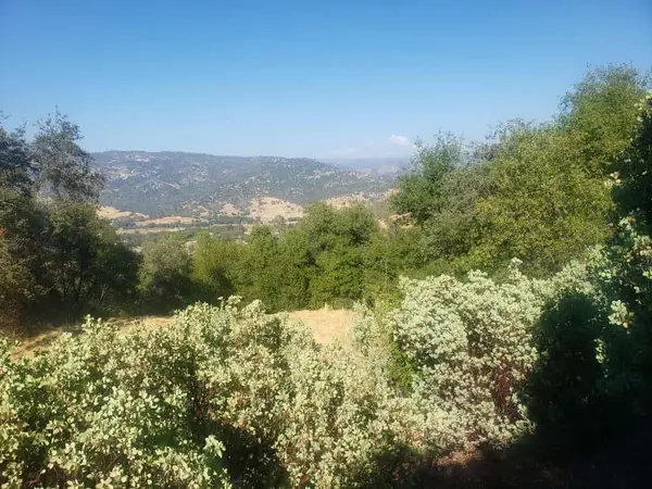 29763 Stoney Creek, Other - See Remarks, CA 93667
