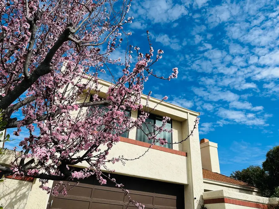 12 Riviera Circle, Redwood City, CA 94065 - #3