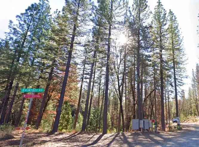 7331 Wentworth, North El Dorado, CA 95634 - #1