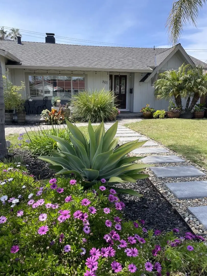 801 Monica Lane, Campbell, CA 95008 - #3