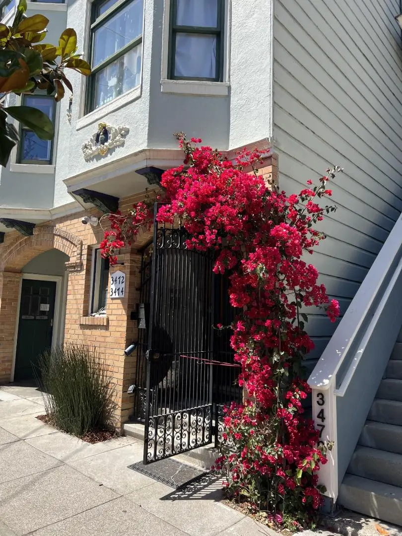 3472 16th Street, San Francisco, CA 94114 - #1