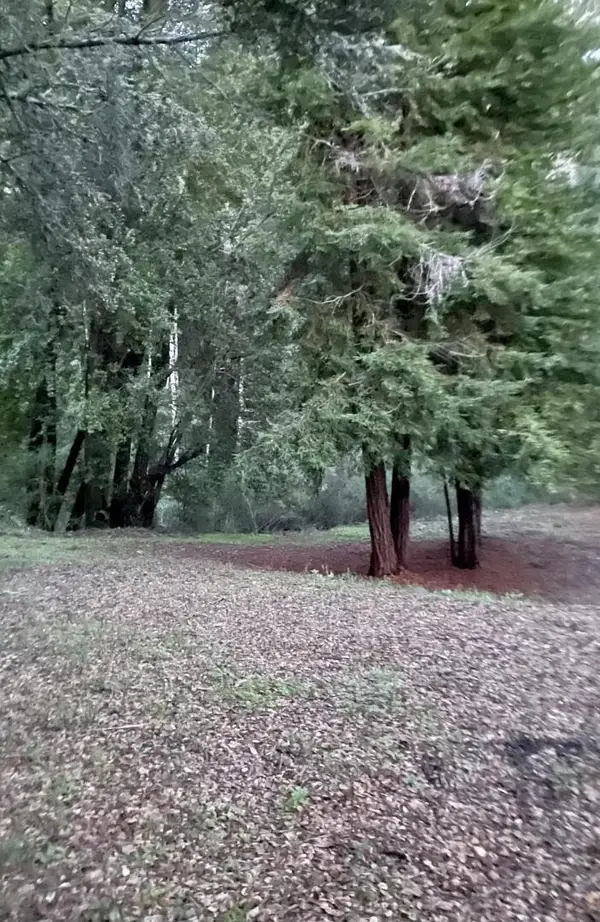 00 Long Branch Road, Los Gatos, CA 95033