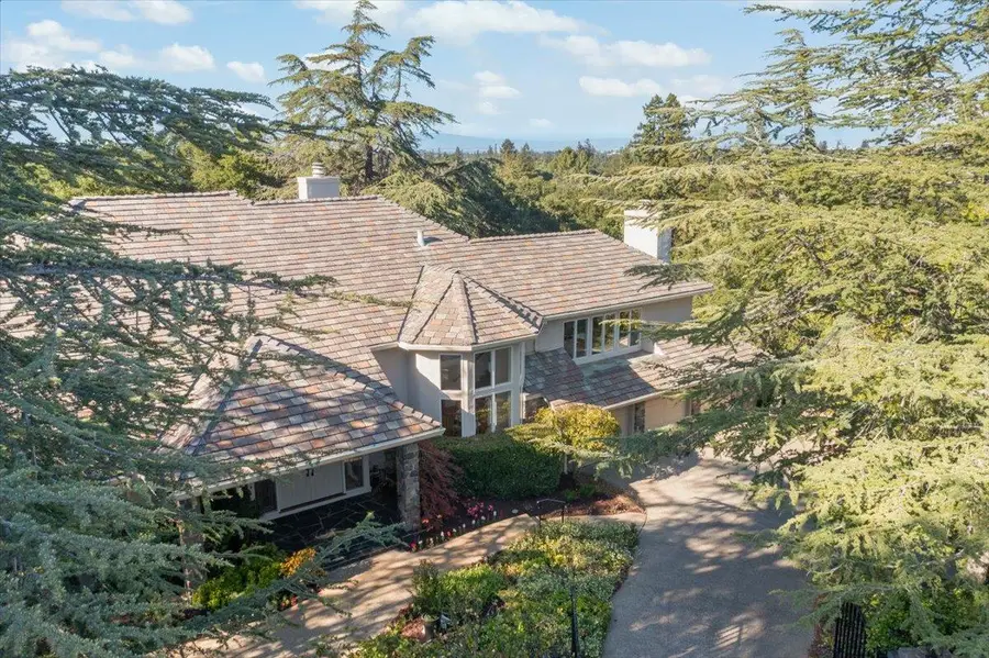 14220 Wild Plum Lane, Los Altos Hills, CA 94022 - #3