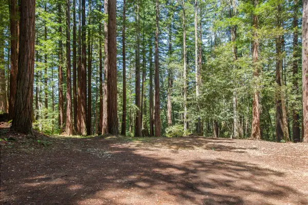 0000 Native Sons Road, Woodside, CA 94062