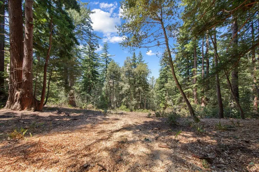 0000 Native Sons Road, Woodside, CA 94062 - #3