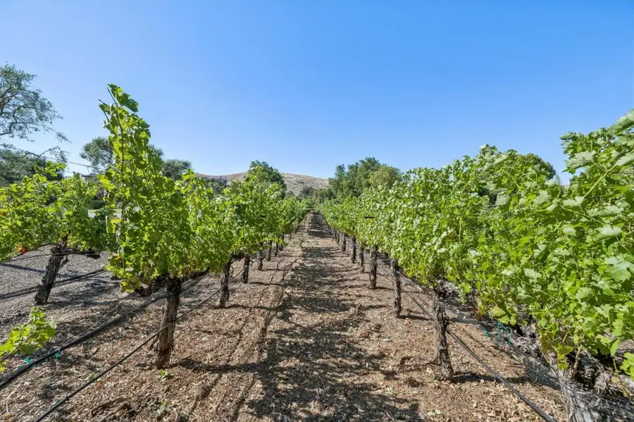 1295 Lions Peak Lane, San Martin, CA 95046 - #3