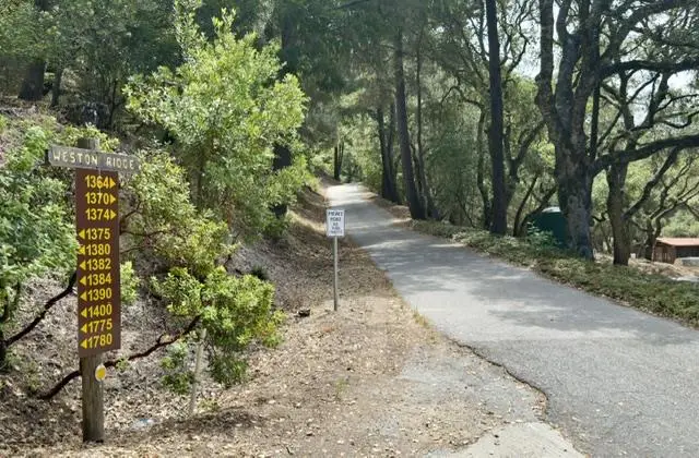 1374 Weston Ridge Road, Scotts Valley, CA 95066 - #3