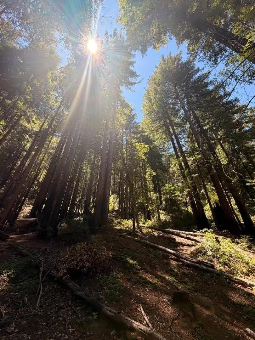 11837 Clear Creek Road, Brookdale, CA 95007 - #1