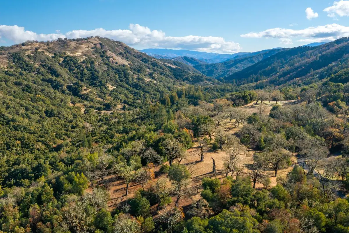 37 Arroyo Sequoia (lot 113), Carmel, CA 93923 - #1