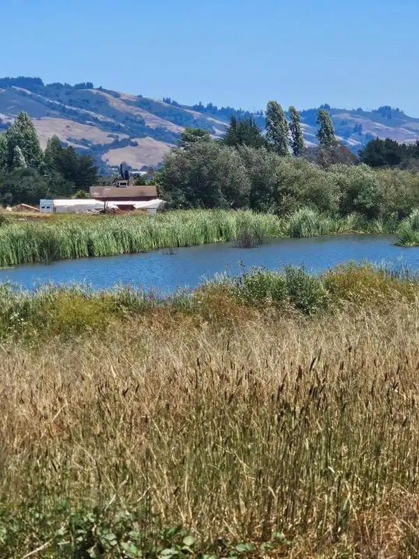 Address Withheld By Seller, Watsonville, CA 95076
