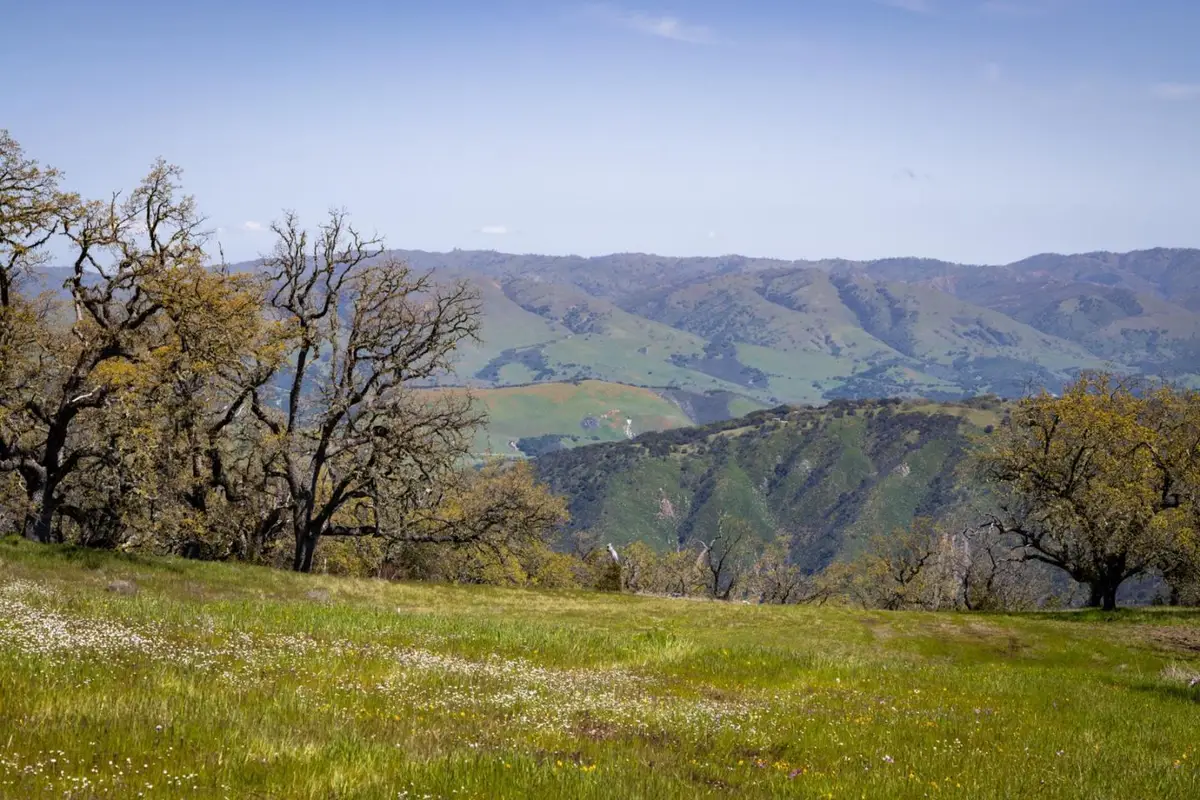 26 Long Ridge Trail, Carmel, CA 93923 - #1