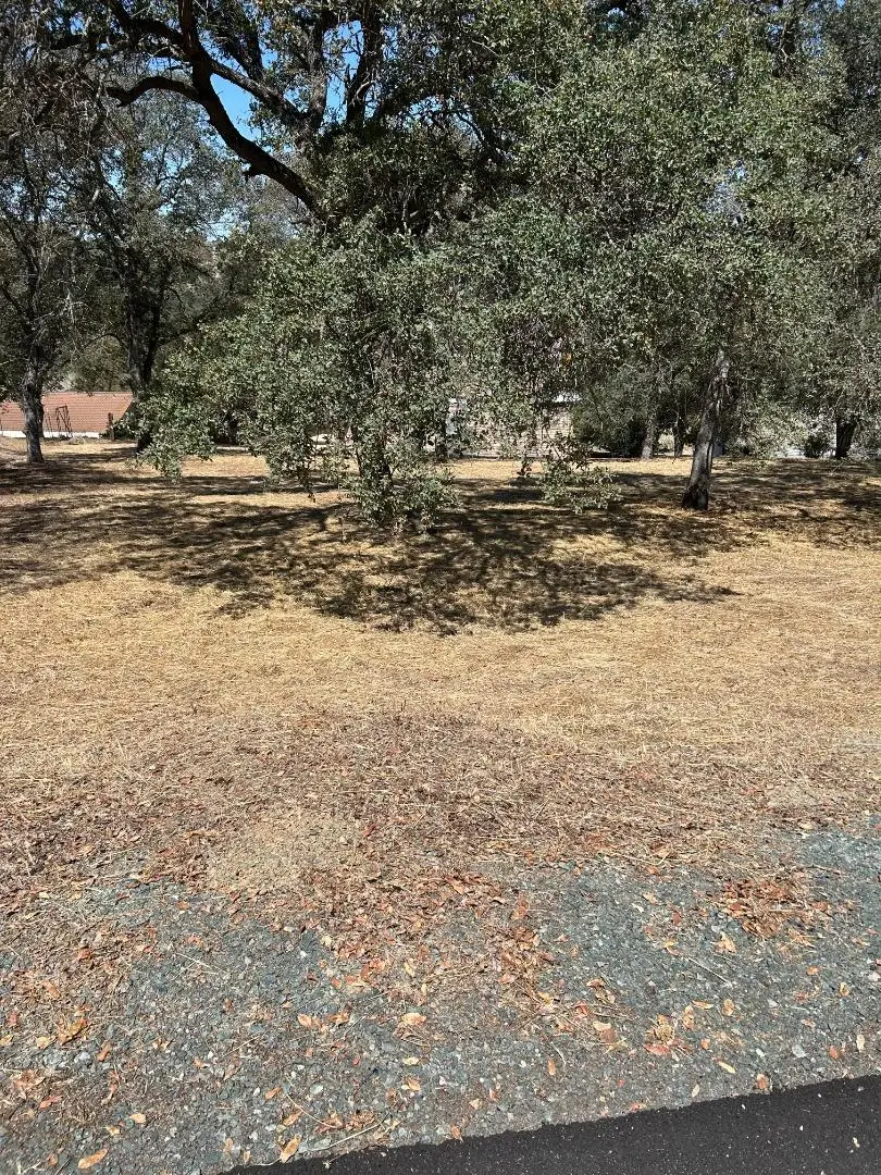 2194 Partridge Drive, Valley Springs, CA 95252 - #2