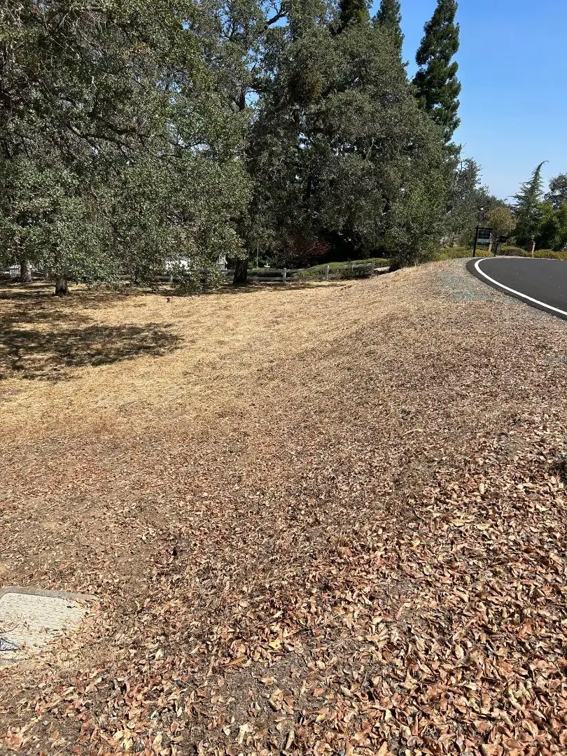 2194 Partridge Drive, Valley Springs, CA 95252 - #3