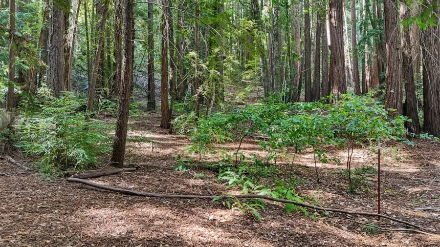 25 Still Creek, Woodside, CA 94062 - #3
