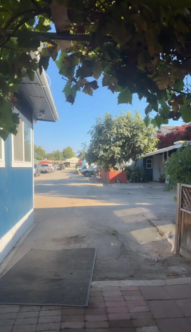 527 Mclaughlin Avenue #215, San Jose, CA 95116 - #3