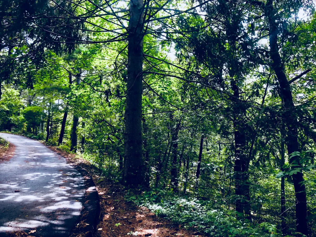 0 Evergreen Lane, Chatham, MA 02633 - Image #1