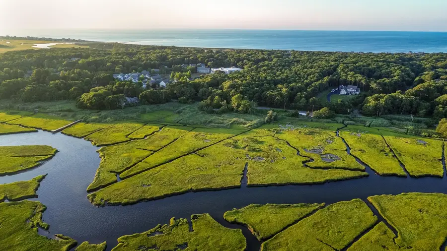 566 Route 6a, East Sandwich, MA 02537 - Image #2