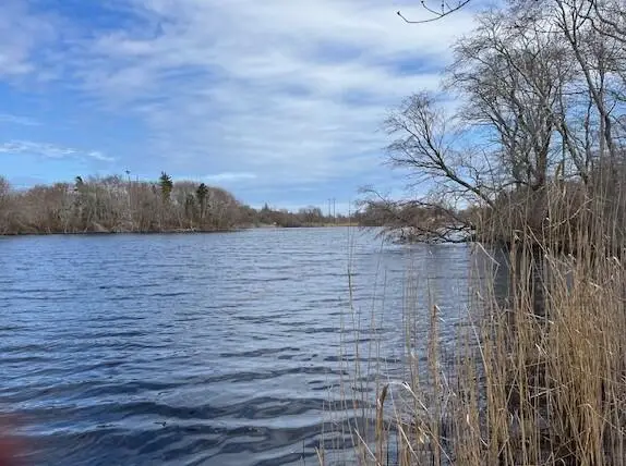 32 Locust Road, Orleans, MA 02653 - #3