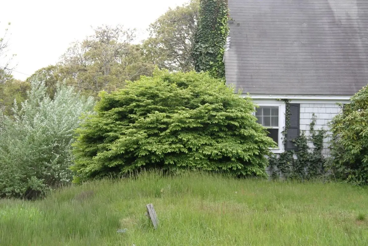 1761 Main Street, Chatham, MA 02633 - Image #1