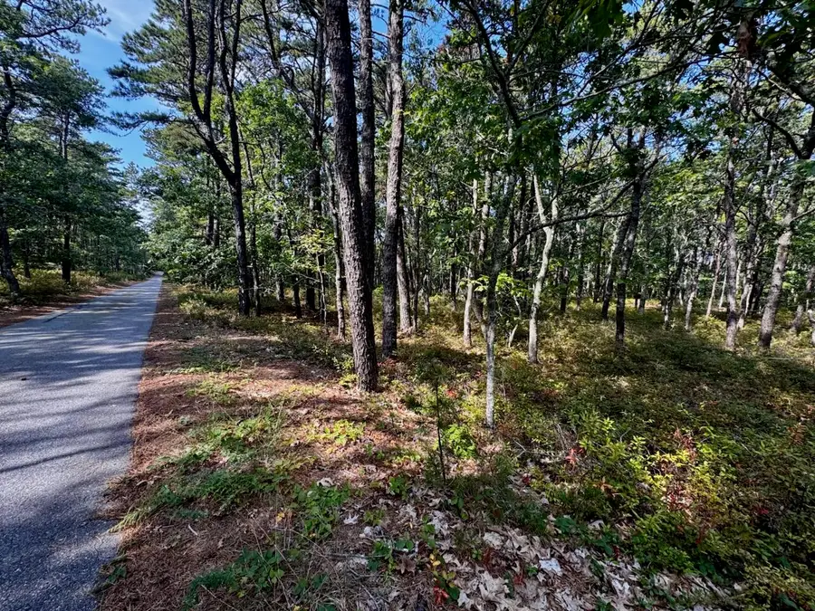 175 Delphi Path, Wellfleet, MA 02667 - Image #2