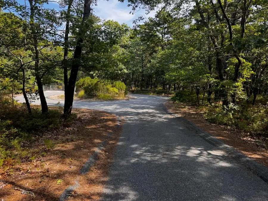175 Delphi Path, Wellfleet, MA 02667 - Image #3