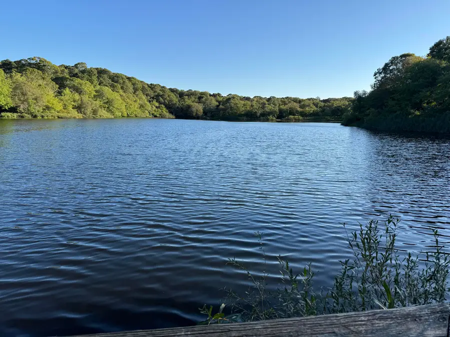 1580 Main Street, Brewster, MA 02631 - Image #2