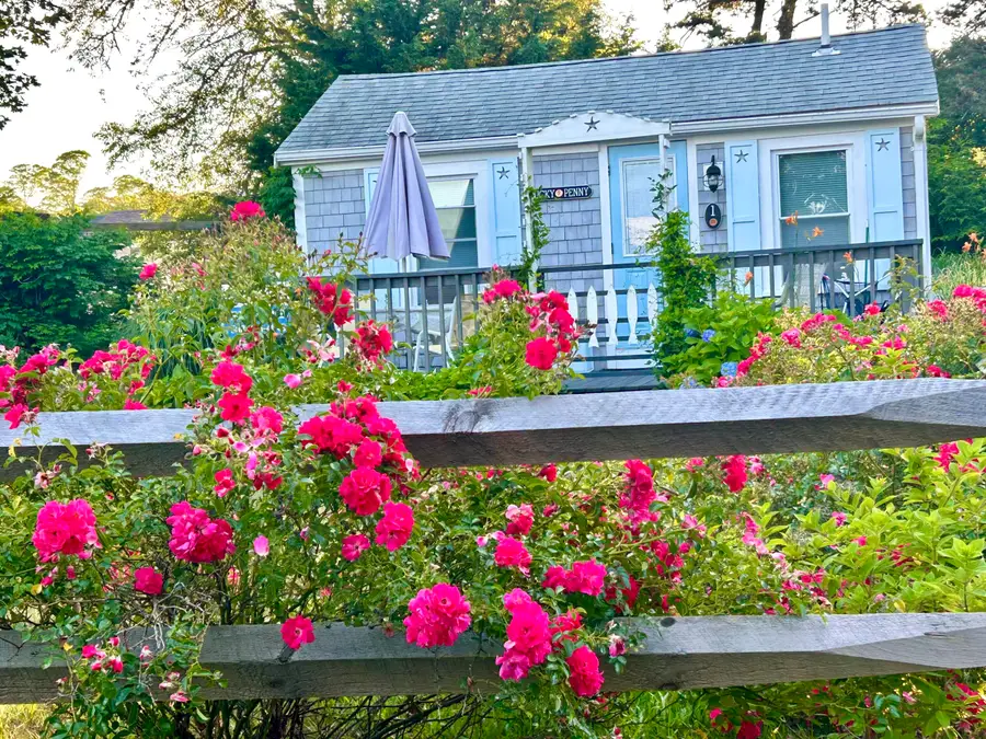 292 Route 28, Harwich, MA 02645 - Image #2