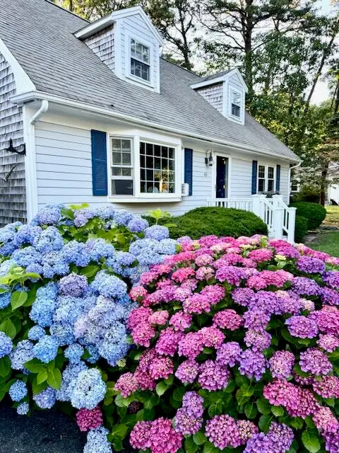 43 Canterbury Road, Yarmouth Port, MA 02675 - Image #2