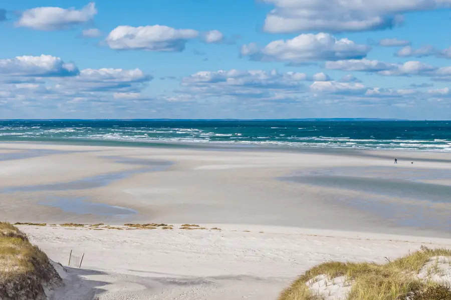 94 Horsefoot Path, Dennis, MA 02638 - Image #3