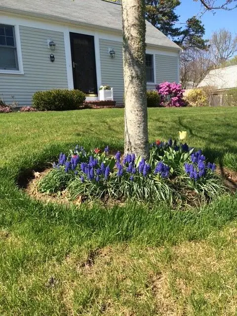 121 Eileen Street, Yarmouth Port, MA 02675 - #2