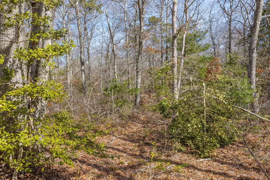 39 John Ewer Road, Sandwich, MA 02563 - #3