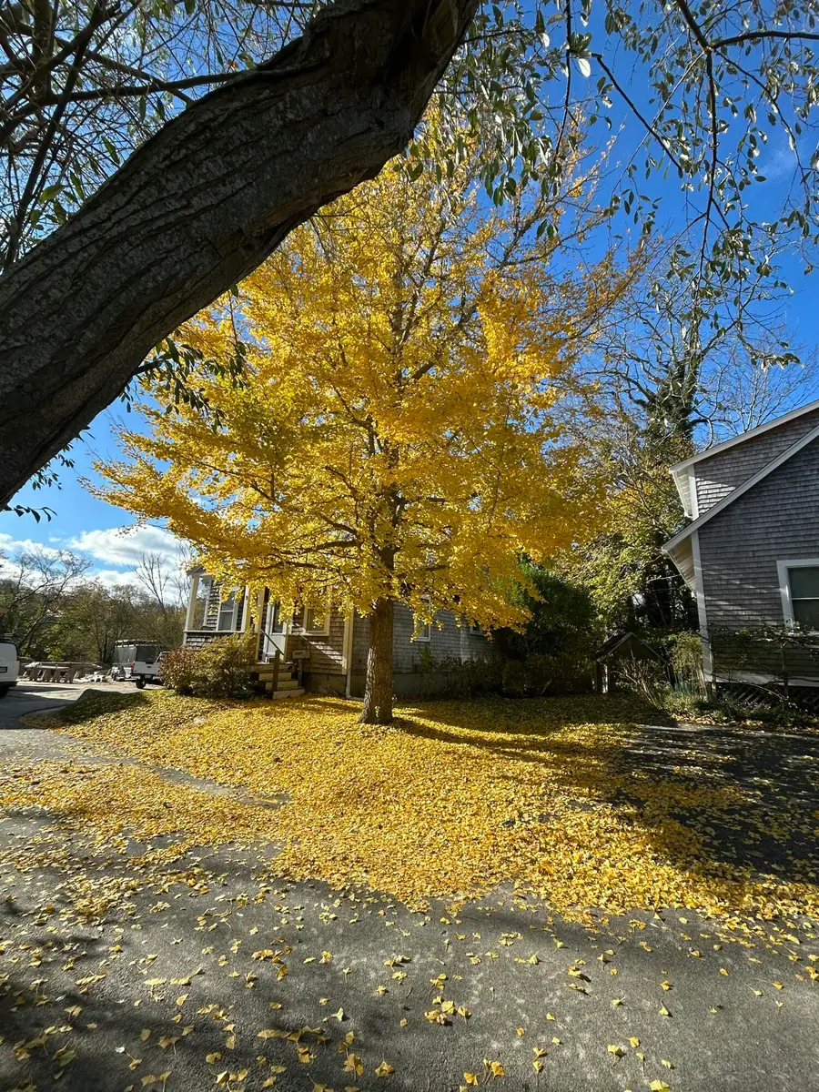 9 Cricket Lane, Woods Hole, MA 02543 - #2