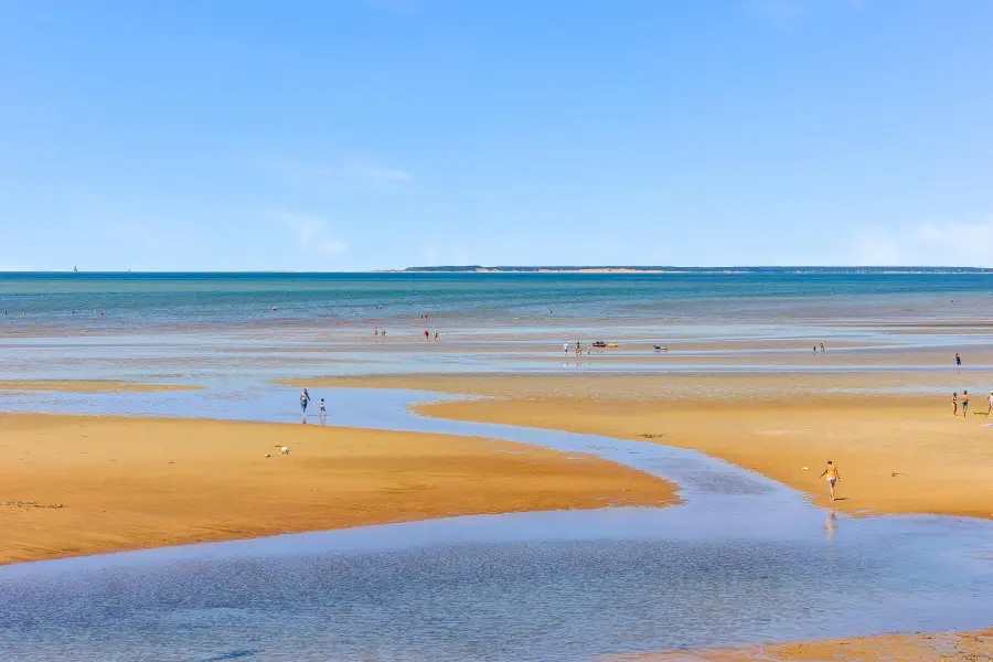 261 Linnell Landing Road #2, Brewster, MA 02631 - #2