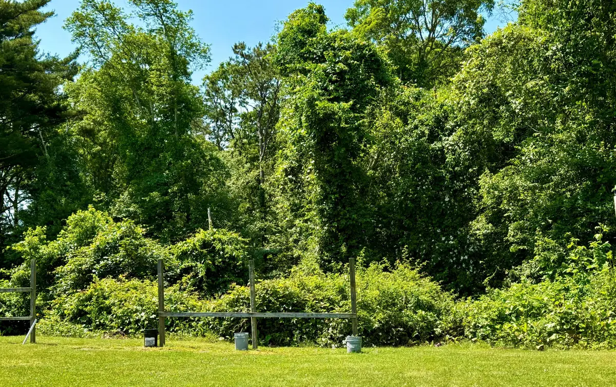 0 Sandwich Road, East Falmouth, MA 02536 - #1