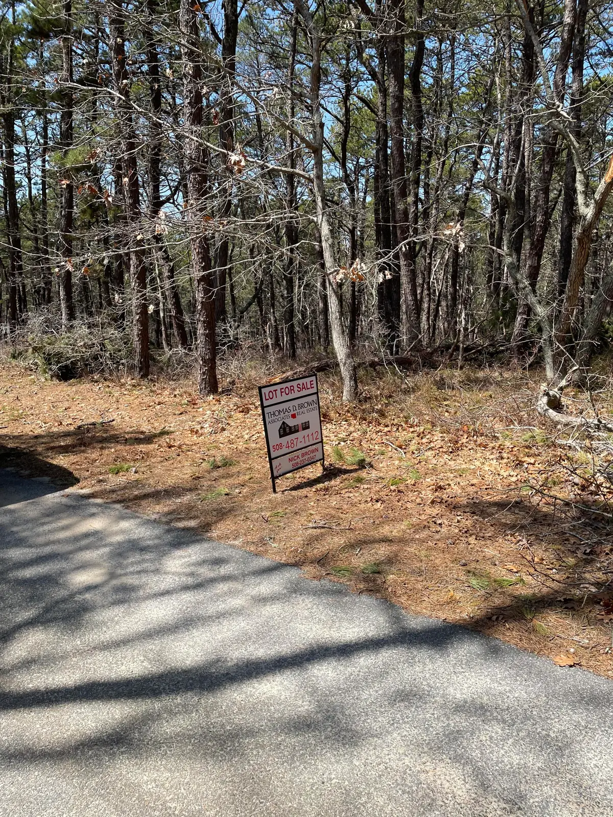 175 Delphi Path, Wellfleet, MA 02667 - #1
