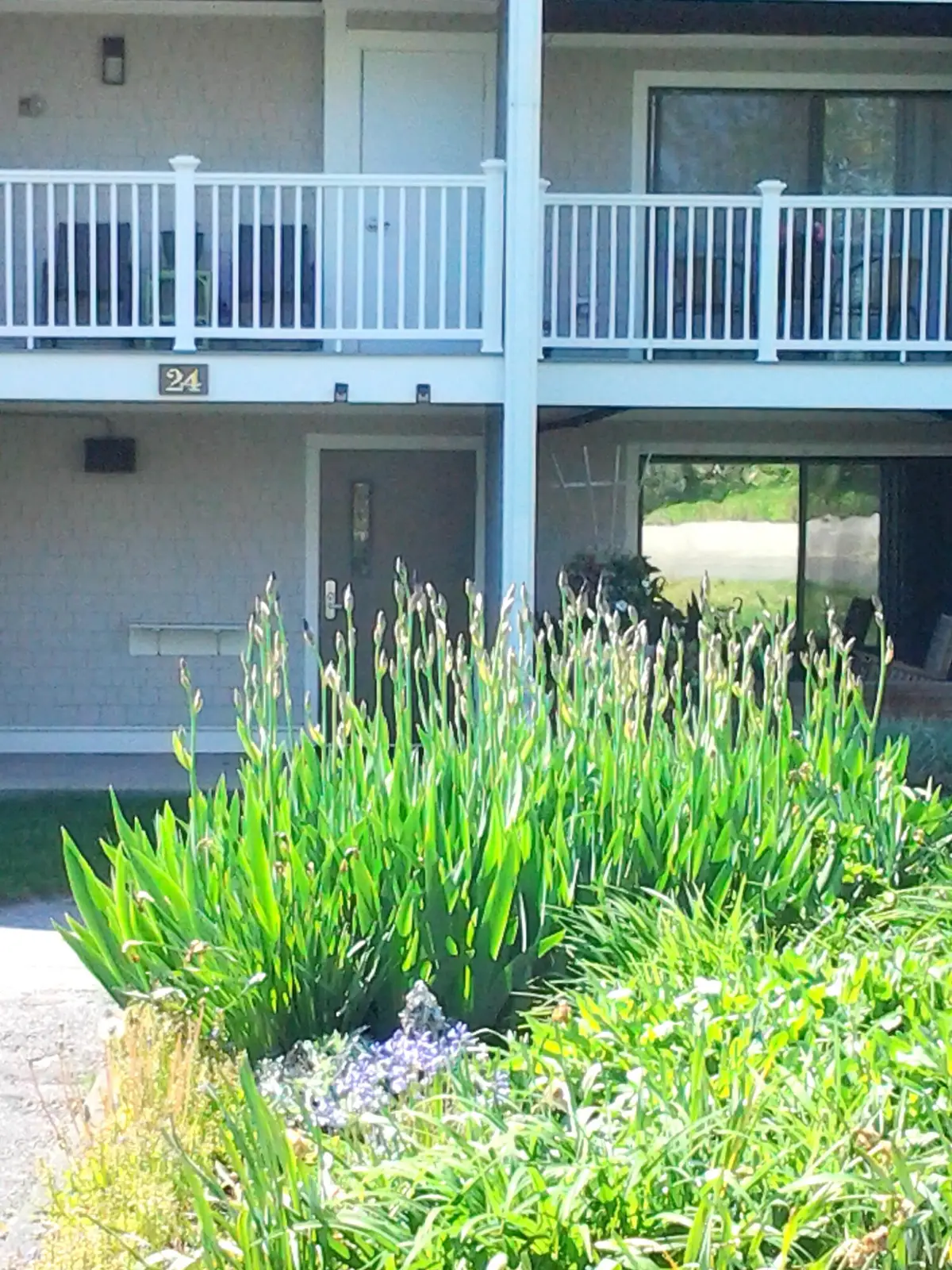 24 Old Colony Way #APT 19, Orleans, MA 02653 - #1