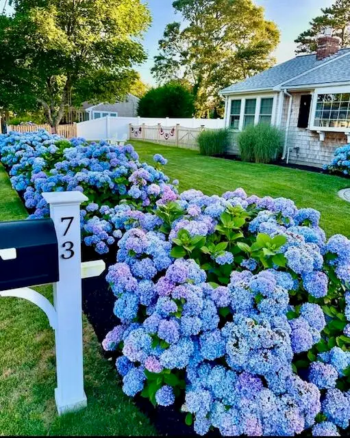 73 Kibby Lane, Dennis Port, MA 02639 - #3
