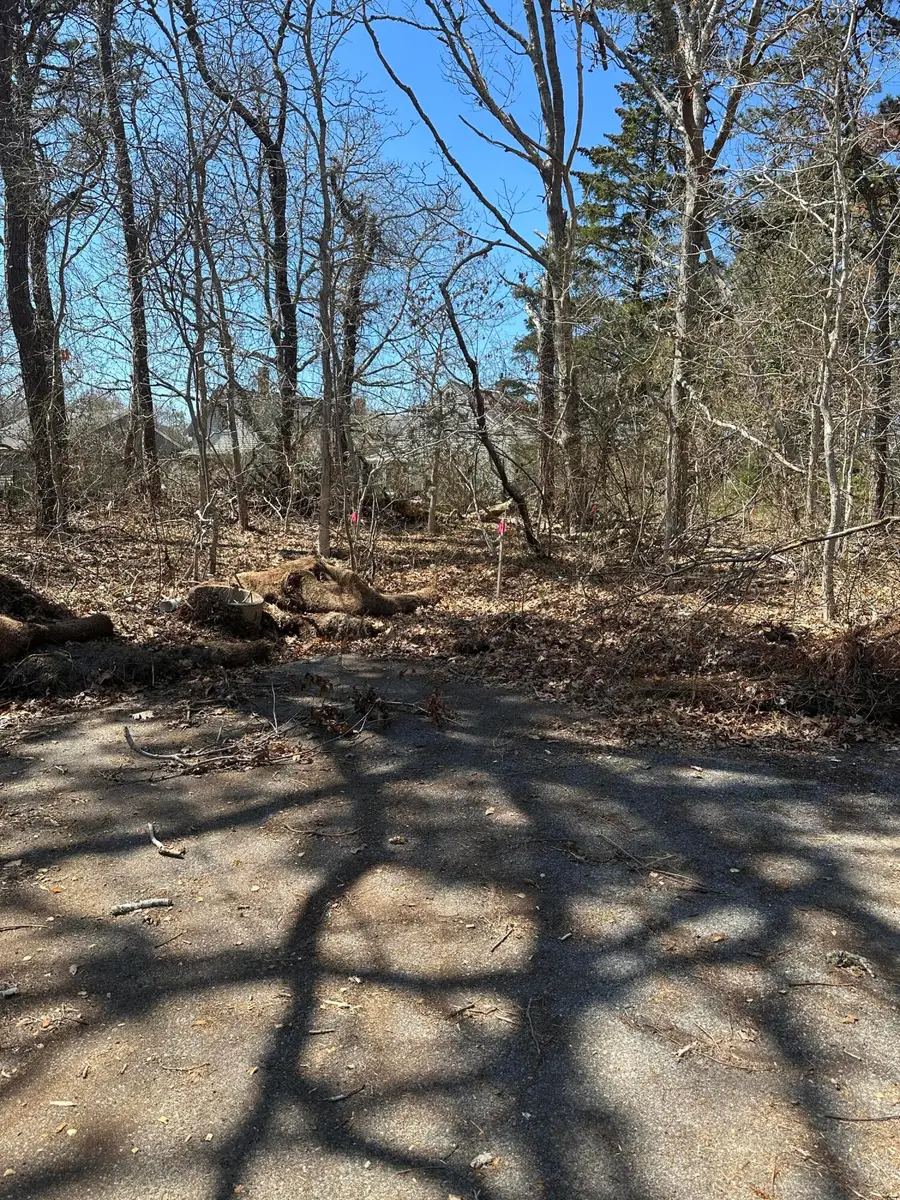 83 Telegraph Road, Dennis Port, MA 02639 - #2