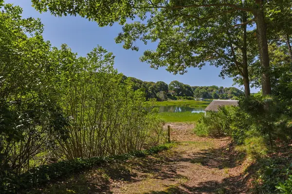 26 Cedar Cove Road, Orleans, MA 02653